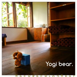 Yogi bear