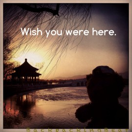 Wish you were here