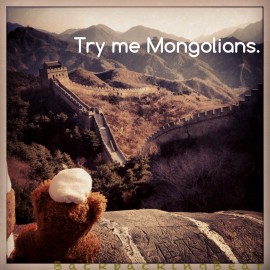Try me Mongolians