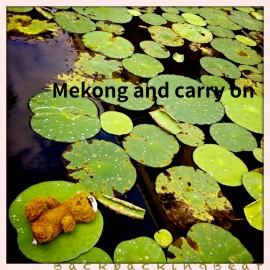 Mekong and carry on