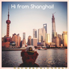 Hi from Shanghai