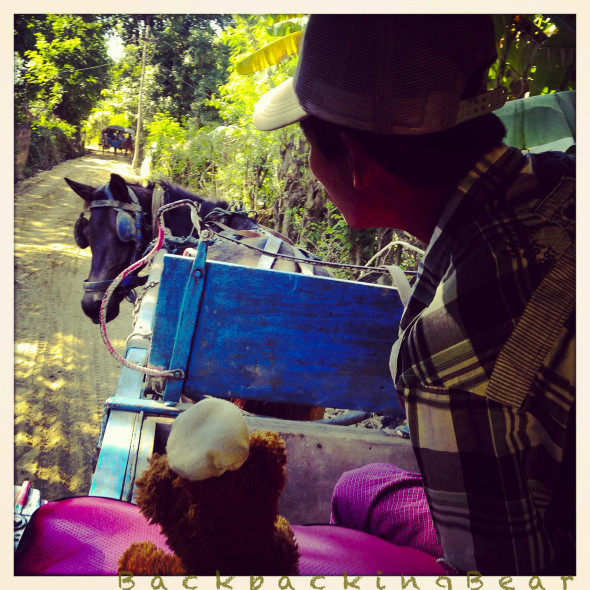 Myanmar-Mandalay-Inwa-horse-carriage